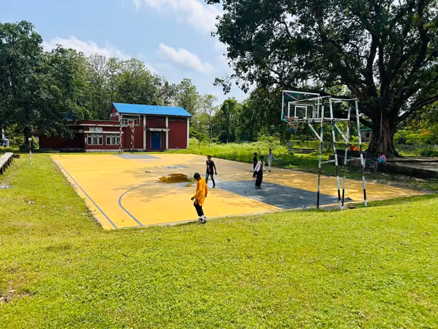 Students playing on the yellow and grey outdoor court beside a large tree